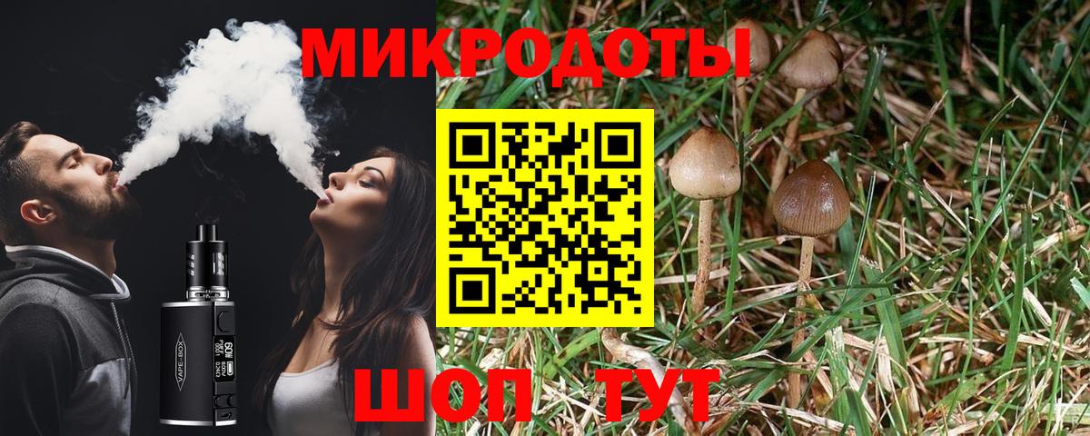 Воскресенск  как найти закладки  Вход с VPN  Псилоцибиновые грибы Cubensis 