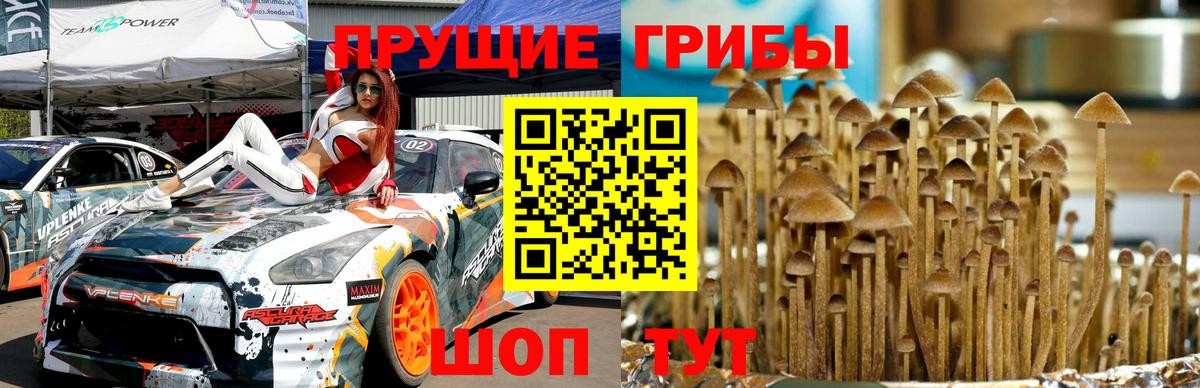Псилоцибиновые грибы ЛСД Воскресенск